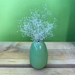 HD-51 Preserved Baby's Breath with Vase